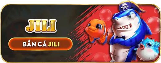 Câu Hỏi Thường Gặp